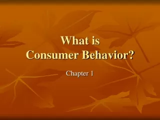 What is  Consumer Behavior?