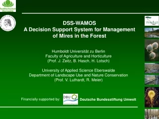 DSS-WAMOS  A Decision Support System for Management of Mires in the Forest