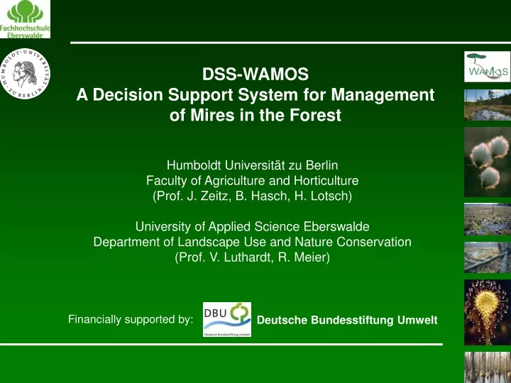 dss wamos a decision support system for management of mires in the forest