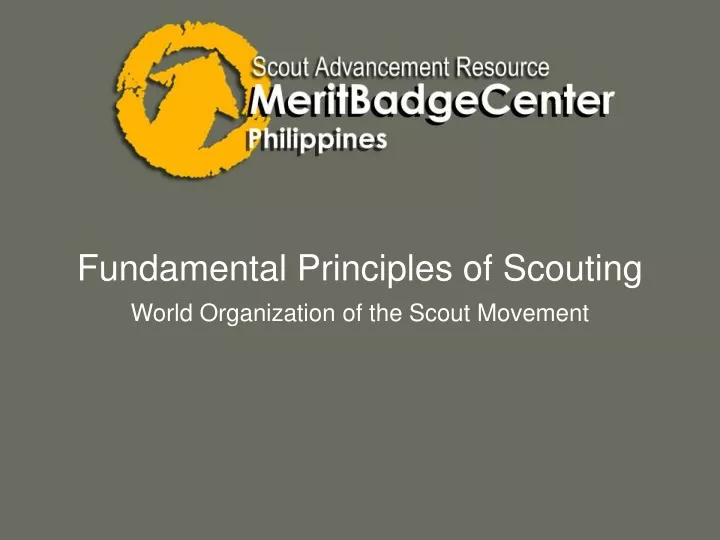 fundamental principles of scouting
