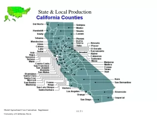 State &amp; Local Production