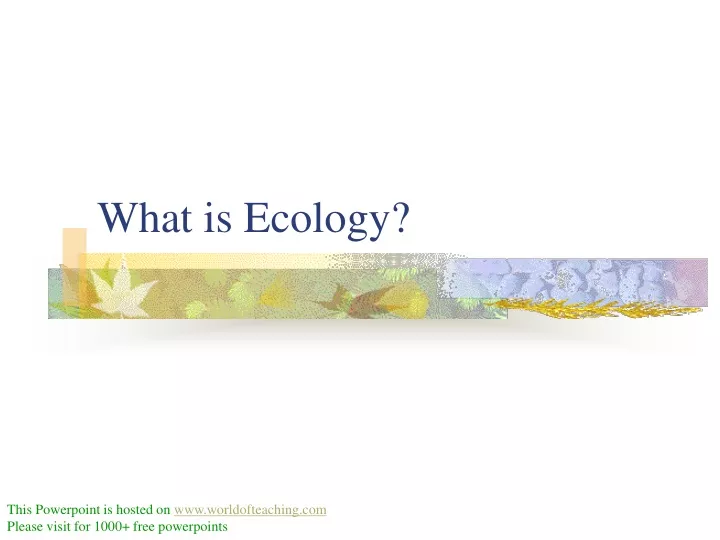 what is ecology