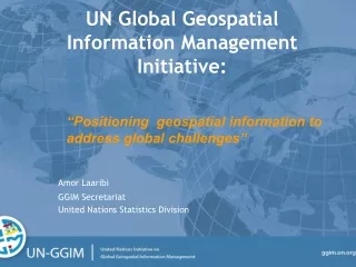 UN Global Geospatial Information Management  Initiative: