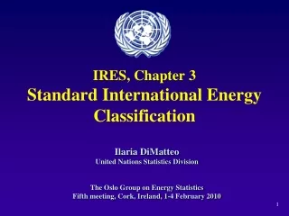 IRES, Chapter 3 Standard International Energy Classification