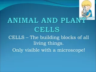 ANIMAL AND PLANT CELLS