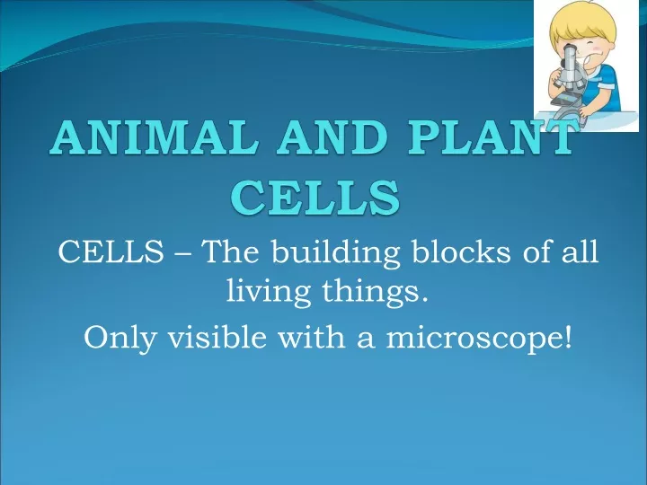 animal and plant cells