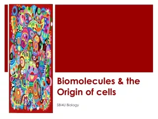 Biomolecules &amp; the Origin of cells