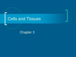 Cells and Tissues