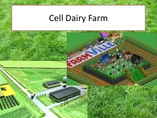 Cell Dairy Farm