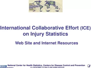 International Collaborative Effort  (ICE)  on Injury Statistics