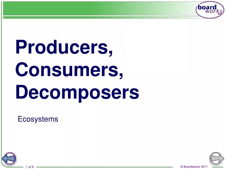 producers consumers decomposers