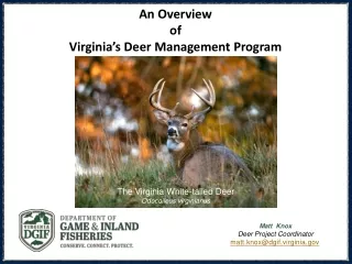 An Overview  of  Virginia’s Deer Management Program