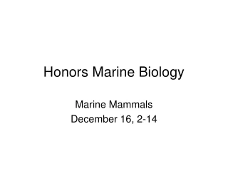 Honors Marine Biology