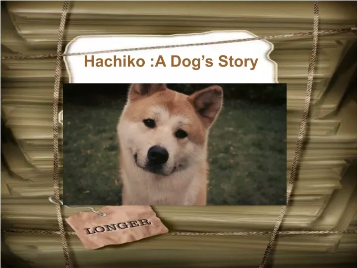 hachiko a dog s story