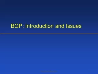 BGP: Introduction and Issues