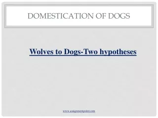 Domestication of Dogs