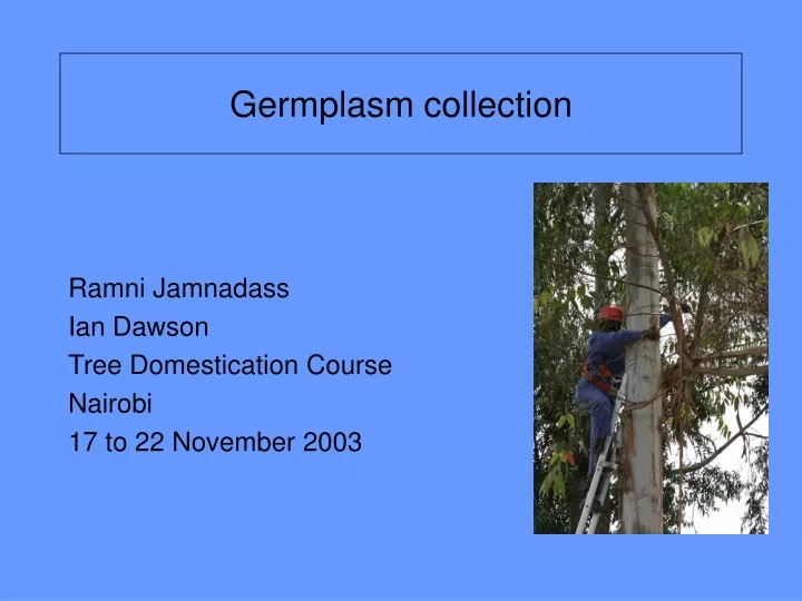 germplasm collection