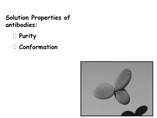 Solution Properties of antibodies:  Purity  Conformation