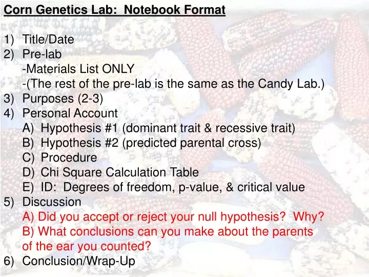 corn genetics lab notebook format title date