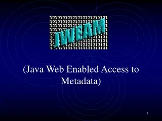 (Java Web Enabled Access to Metadata)