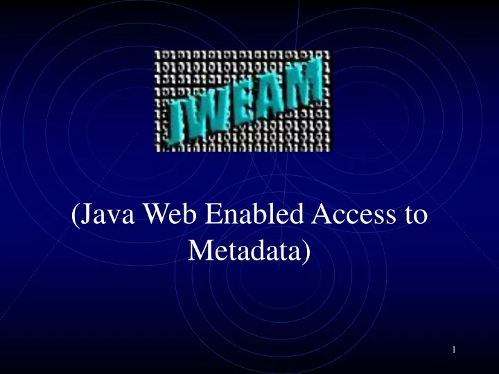 java web enabled access to metadata