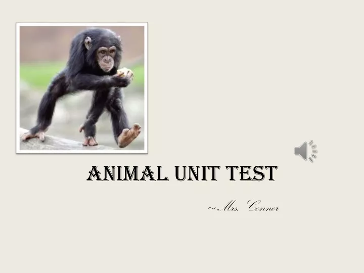 animal unit test