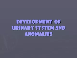 DEVELOPMENT  OF URINARY SYSTEM AND  ANOMALIES