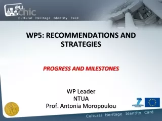 WP5:  RECOMMENDATIONS AND STRATEGIES