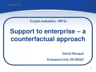 Support to enterprise – a counterfactual approach