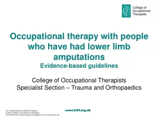 Occupational therapy with people who have had lower limb amputations Evidence-based guidelines