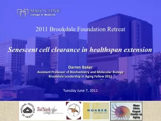 2011  Brookdale  Foundation Retreat Senescent cell clearance in healthspan extension Darren Baker