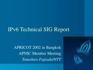 IPv6 Technical SIG Report