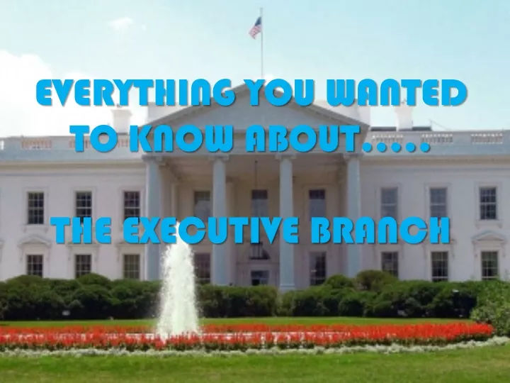 everything you wanted to know about the executive branch