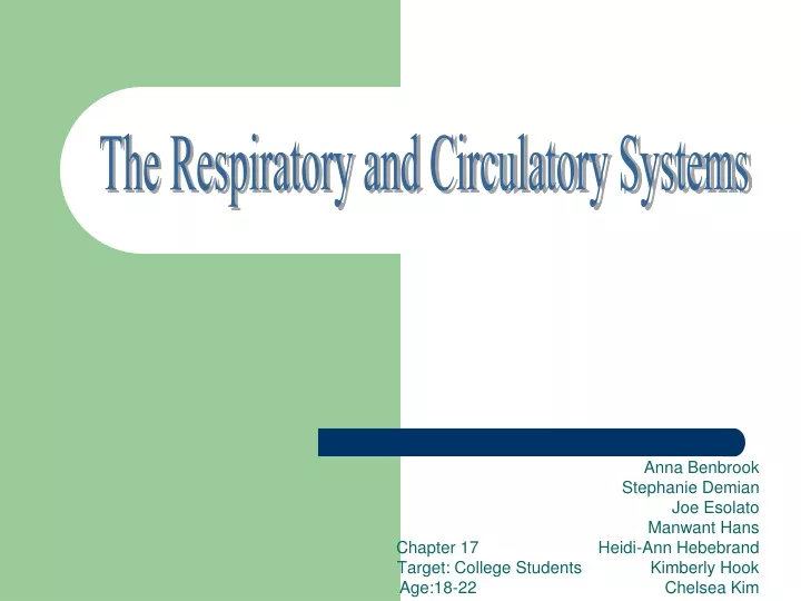 the respiratory and circulatory systems