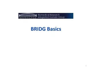 BRIDG Basics