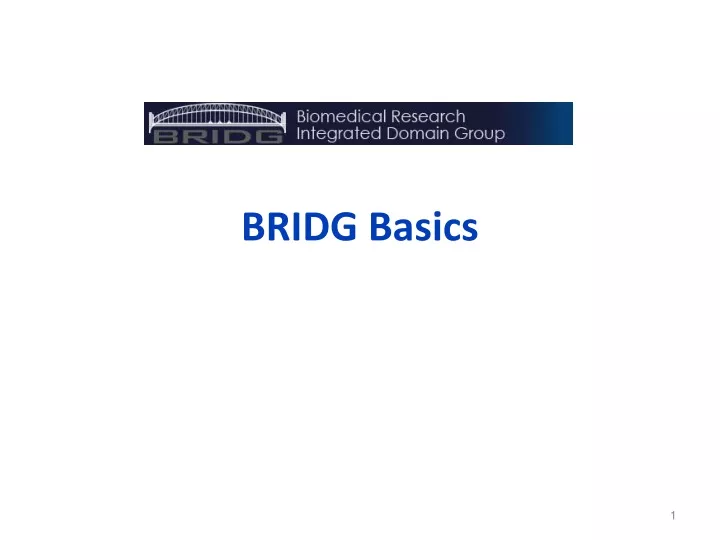 bridg basics
