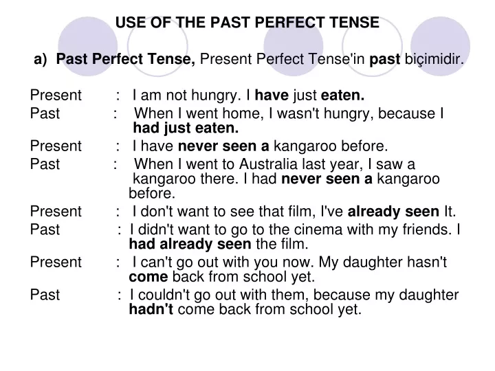 use of the past perfect tense a past perfect