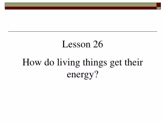 Lesson 26 How do living things get their energy?