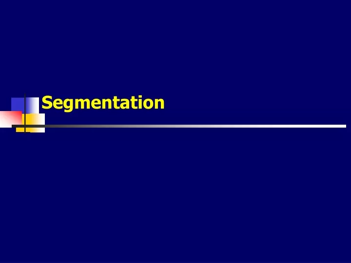 segmentation