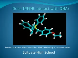 Does TPEOB Interact with DNA?
