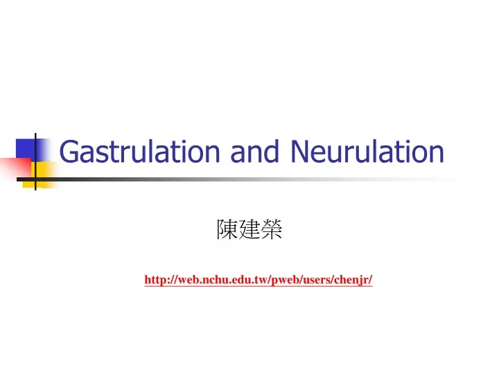 gastrulation and neurulation