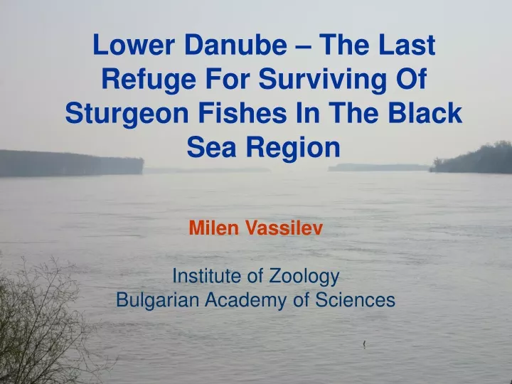 lower danube the last refuge for surviving of sturgeon fishes in the black sea region