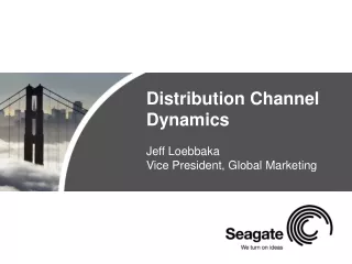 Distribution Channel Dynamics