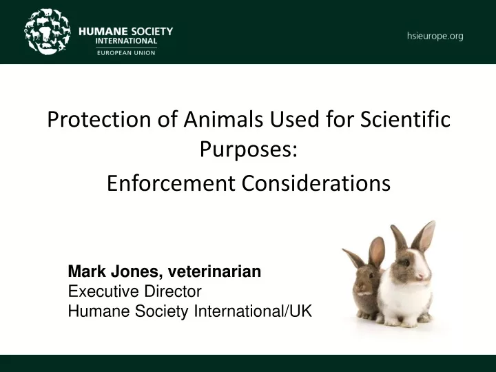 mark jones veterinarian executive director humane society international uk