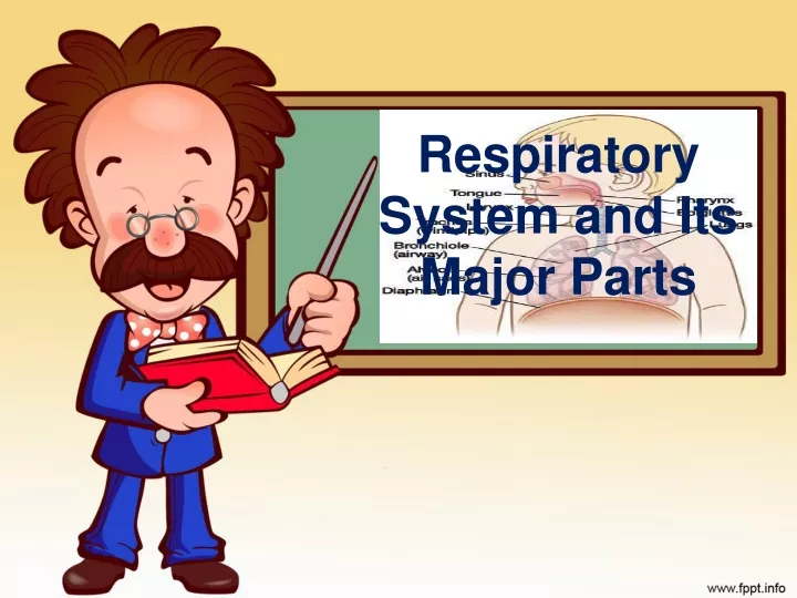respiratory system and its major parts