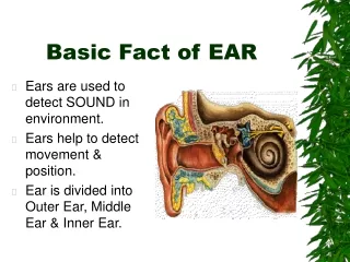 Basic Fact of EAR