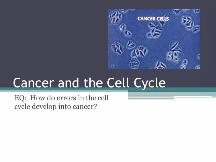 cancer and the cell cycle