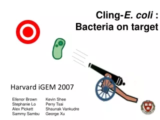 Cling- E. coli  : Bacteria on target