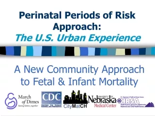 Perinatal Periods of Risk Approach:  The U.S. Urban Experience