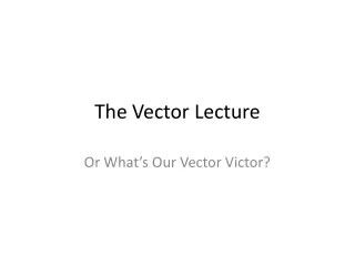 The Vector Lecture